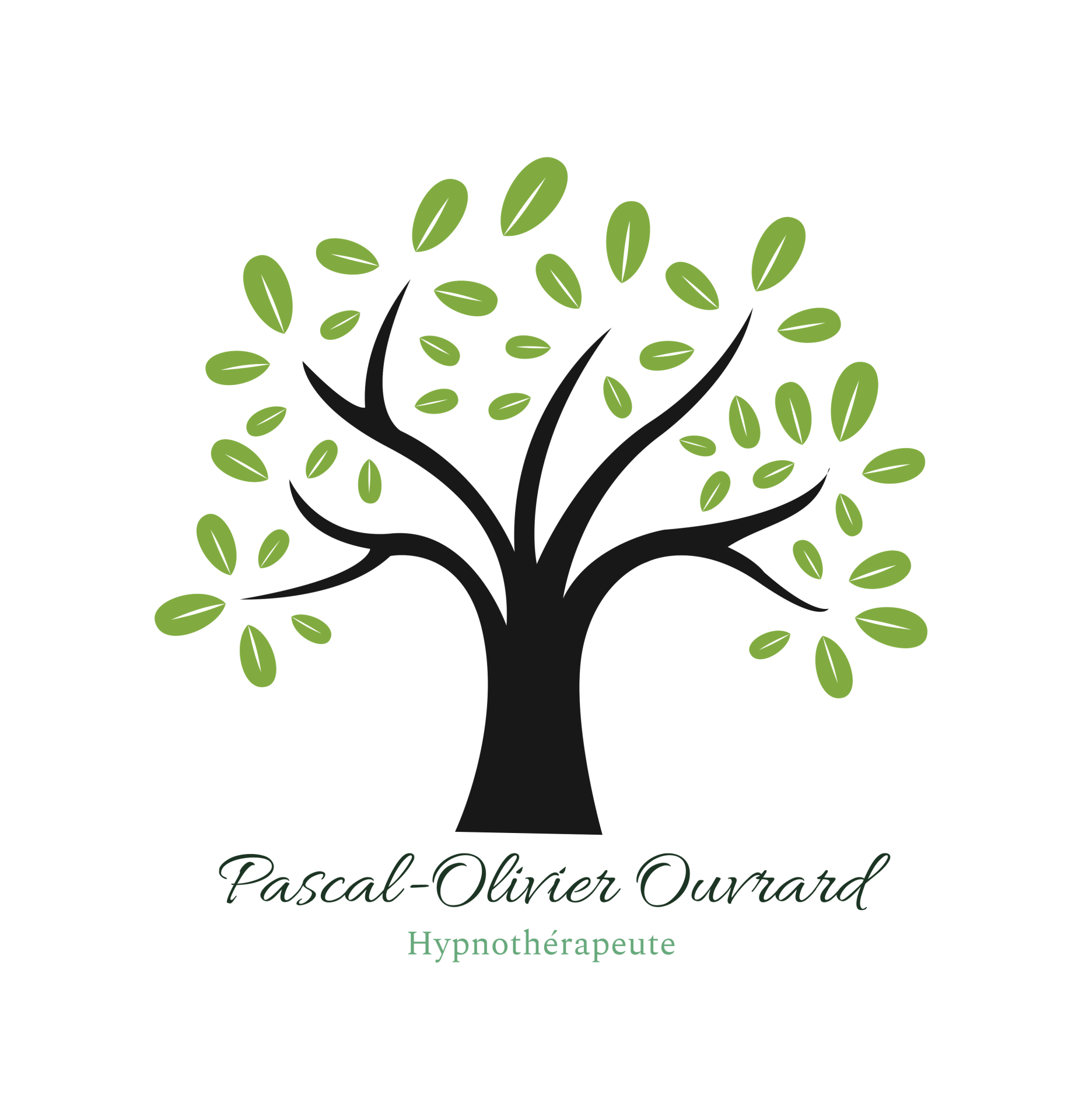 Pascal olivier ouvrard hypnothe rapeute a silly tillard t