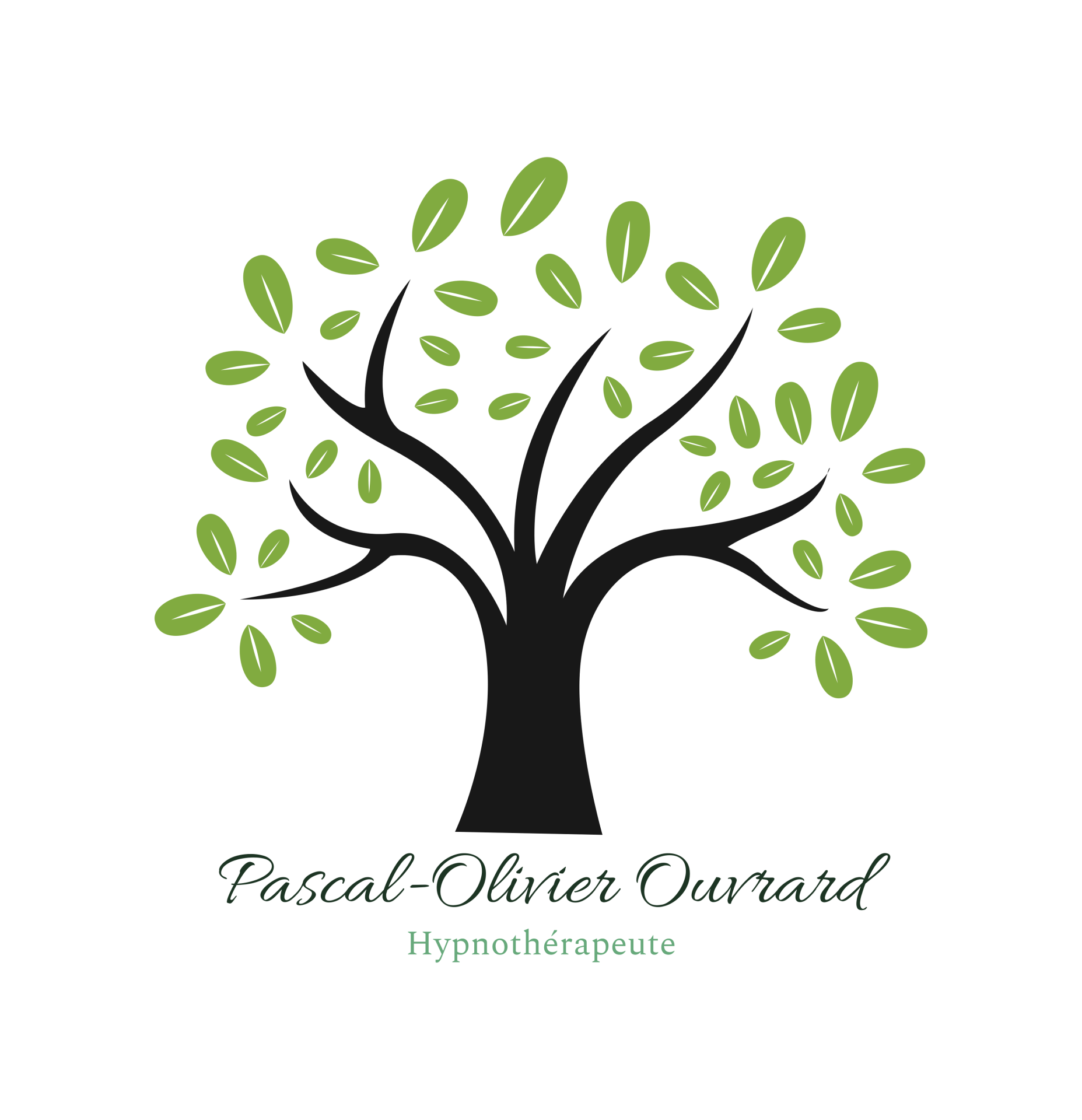 Pascal olivier ouvrard hypnothe rapeute logo t
